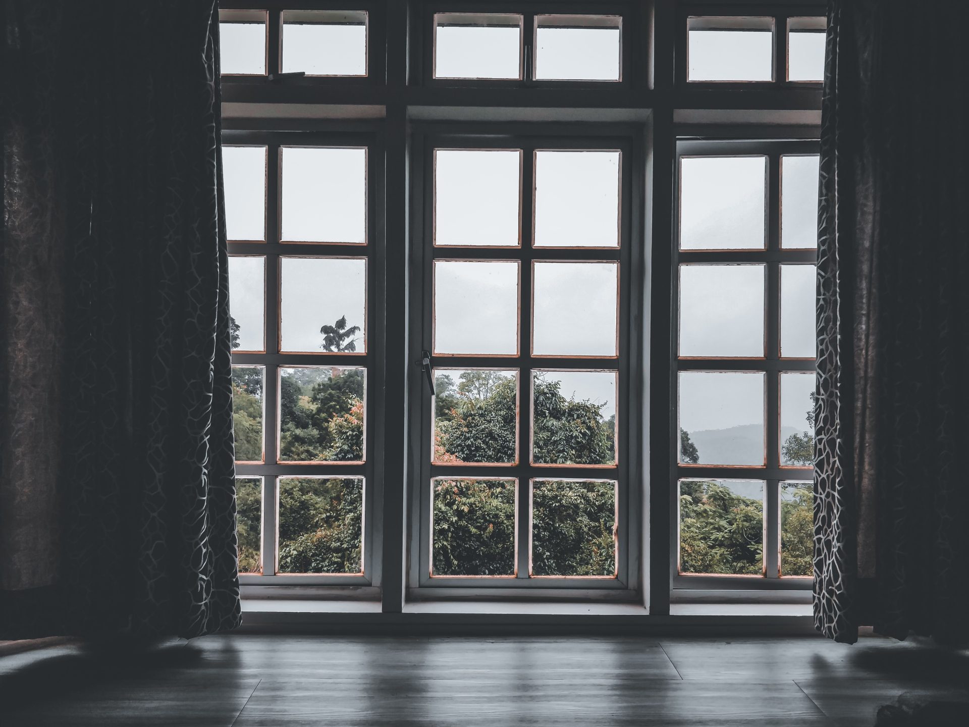 Scenic view through a window at lush greenery in Bukit Fraser, Malaysia.